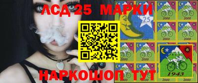 стаф Краснодар