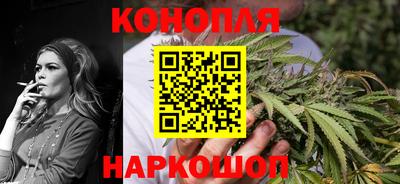 стаф Краснодар